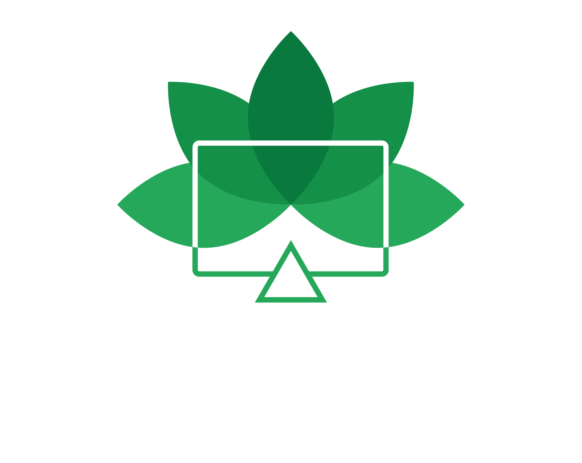Forest Monitor en Español